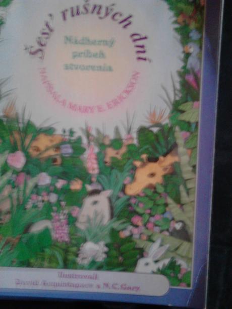 Šesť rušných dní ô,