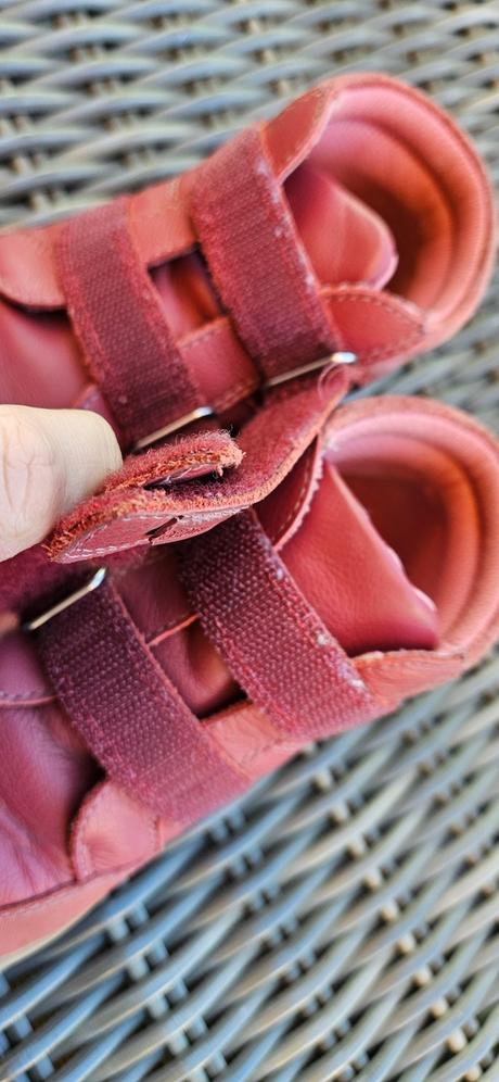 Protetika fila v. 29, protetika,29