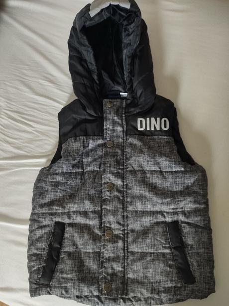 Vesta dino lipilu, lupilu,98