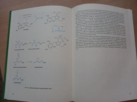 Farmakognózia biogenéza prírodných látok nagy gran,