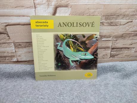 Anolisové cz - veronika holáňová, 