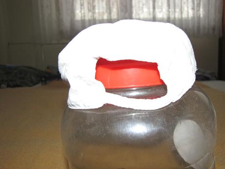 Obojstranná šiltovka, 74