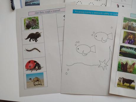 Montessori aktivity, 