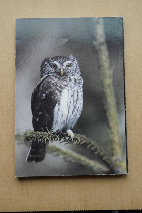 Významná ptačí území v evropě,