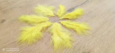 Dekoračné pierka - žlté, 