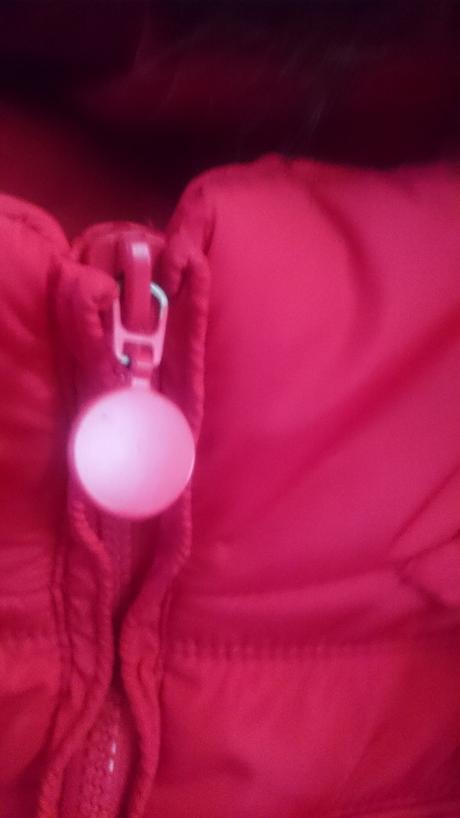 Dámska krátka zimná bunda, s