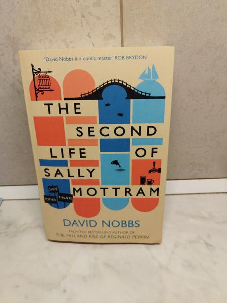 D. nobbs - the second life of sally mottram v,