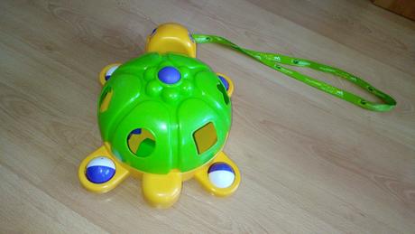 Korytnačka vkladačka, 