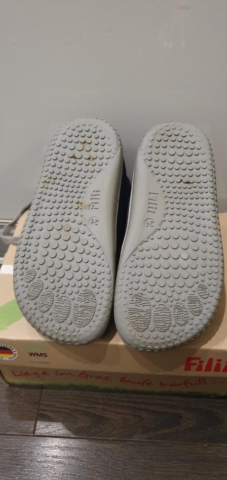 Filii - gecko ocean m  super cena, filii,24