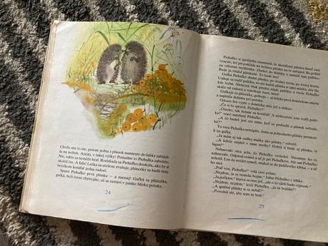 Parožtekovci-prvé vyd.1982, 