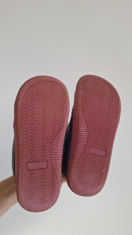 Protetika amis fuchsia, protetika,28