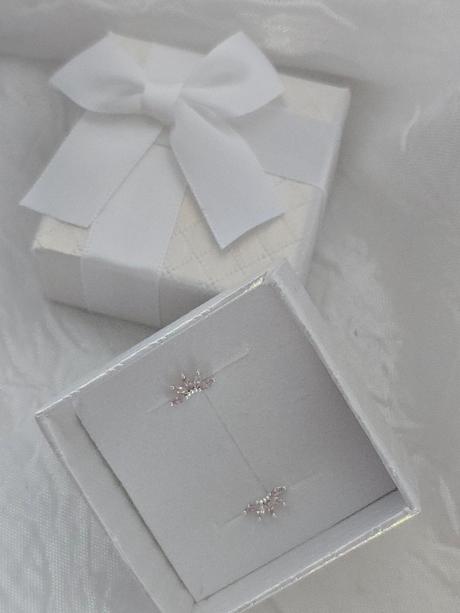 Strieborné náušnice, 