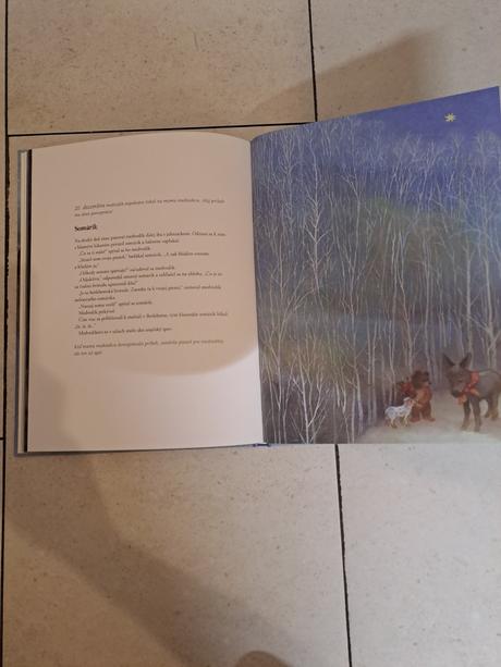 Vianočné príbehy, 