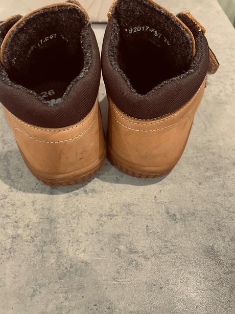 Filii v. 26, filii,26