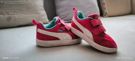 Botasky puma, puma,22