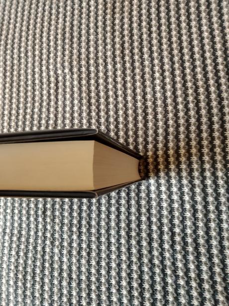 Lagercrantz - dievča,ktoré uviazlo v pavúčej sieti,