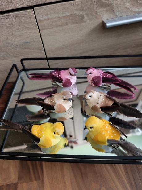 Vtáčiky na štipci, 