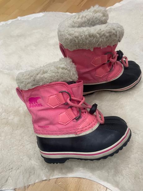 Snehule sorel, sorel,25