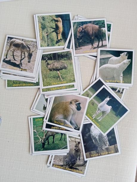 Pexeso - autá, zvieratá,