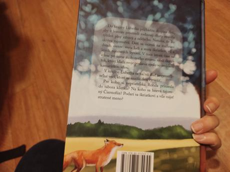 Kniha krajina lubetha, 