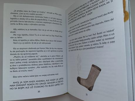 Ivona březinová - chlapec a pes, 