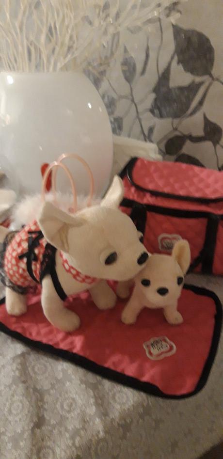 Chi chi love chivava + malá chivava + knižka, 