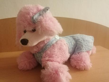 Psík do kočiarika, 