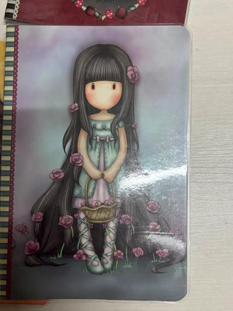 Santoro krasne dievcenske zošity 6ks,