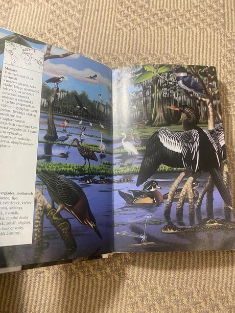 Divé zvieratá dupont philippe,