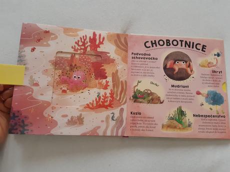 Kde sa schovavaju zvieratka, 