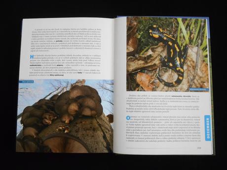 Kniha prechádzky slovenskou prírodou,