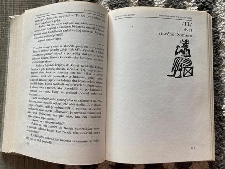 Na počiatku bol sumer (1984),