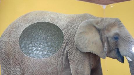 Prvé detské knizky dotykove,