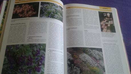 Úspešný rok v záhrade, 