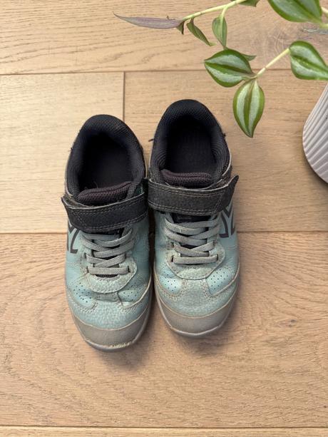 Halovky artengo, 31