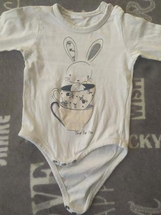 Zajačikové body, 74