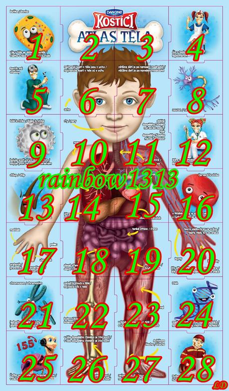 Magnetky kostíci - atlas tela,