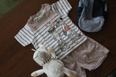 Letná súprava surikata, ergee,62