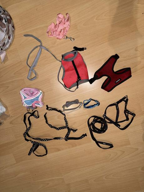 Príslušenstvo pre mačky, 