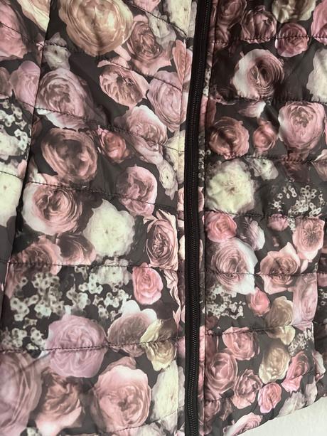 Jesena jarna bunda s ruzami kvety ruza, m