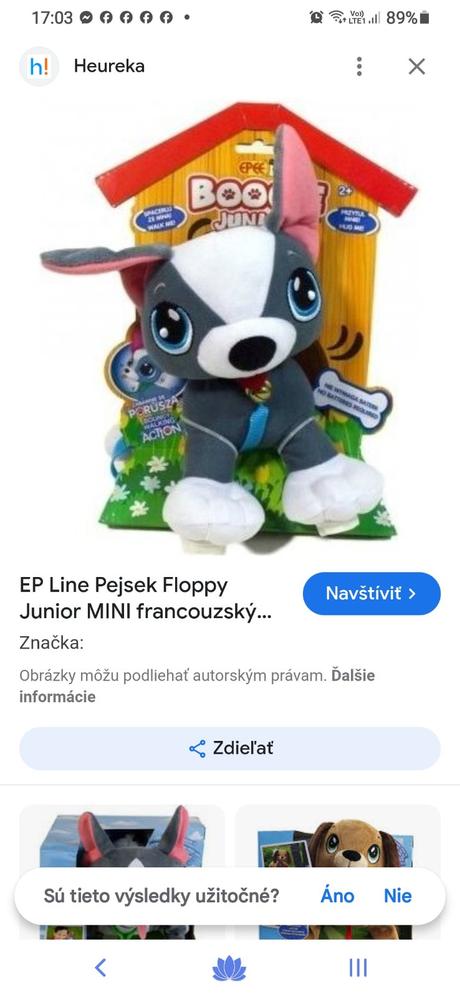 Psík floppy,