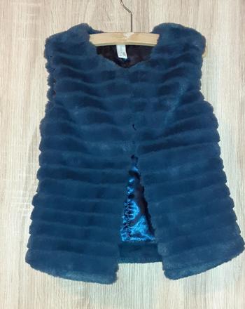 Kozusinkova vesta, 104