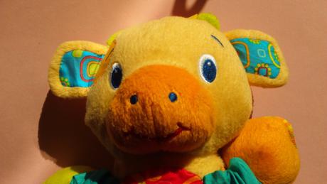 Tigrík bright starts, 