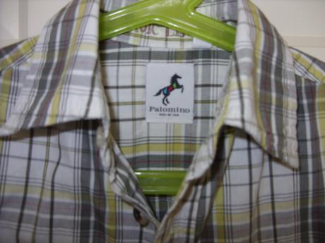 Kosela, palomino,116