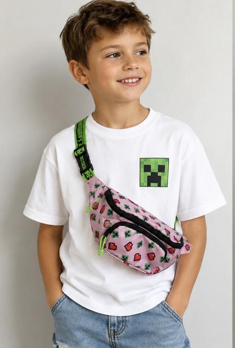 Ladvinka minecraft, reserved