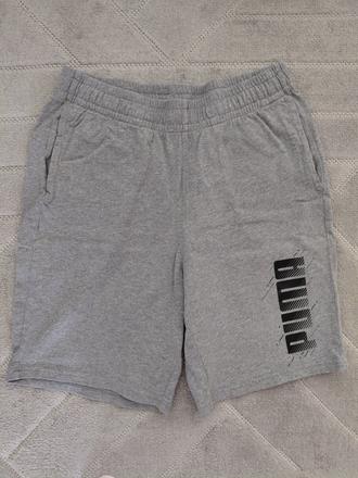 Sortky puma, puma,158