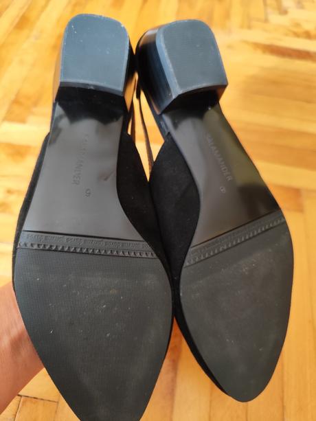 Sandalky, salamander,39