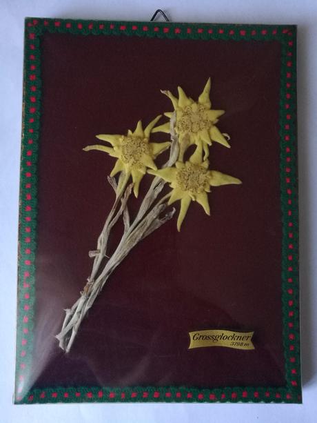 Starodávny obrázok, 