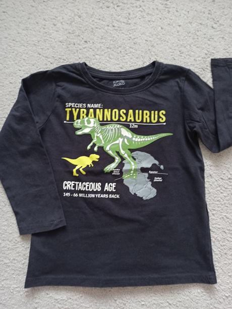 Mikina a tričká dino 110/116, h&m,110