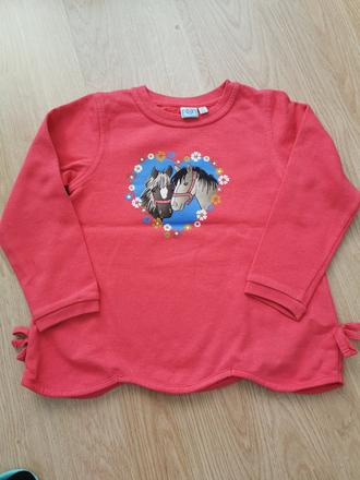 Mikina s konikmi, 116